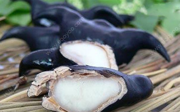 �����ʲô���ã���ǵĹ�Ч������